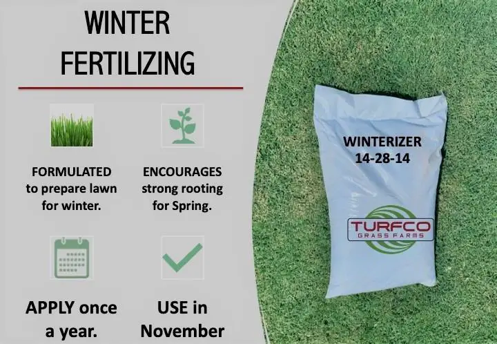 Bag of fertilizer sitting on top of a lawn. The fertilizer is labeled as WINTERIZER 14-28-14 TURFCO | Grass fertilizer st augustine