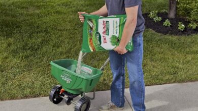 Man pouring Fertilizer for St Augustine Grass into a spreader. The fertilizer brand is Scotts Turf Builder Fertilizer for St Augustine Grass