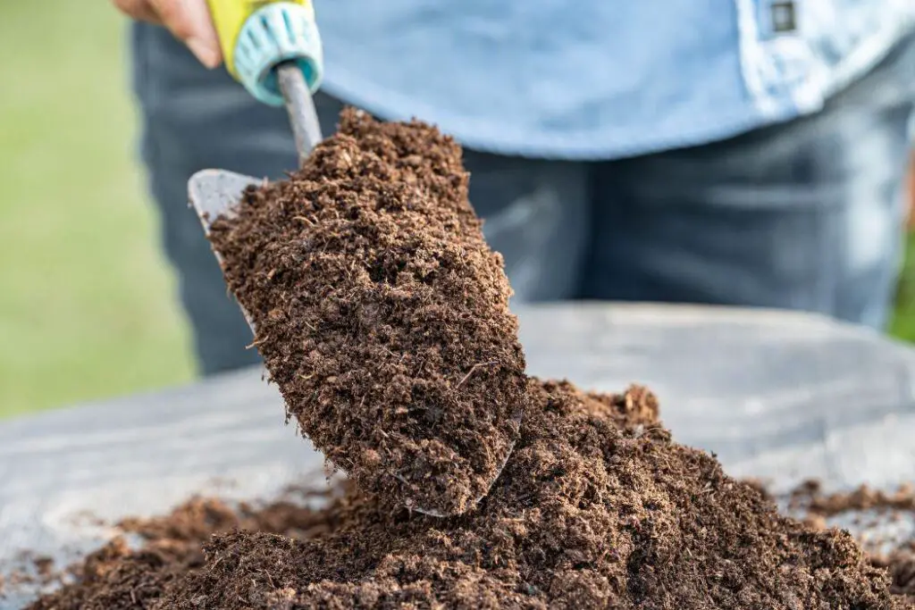 What exactly is potting soil | Best soil for vegetables in pots 