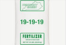 19-19-19 Fertilizer: The Secret to a Thriving Garden