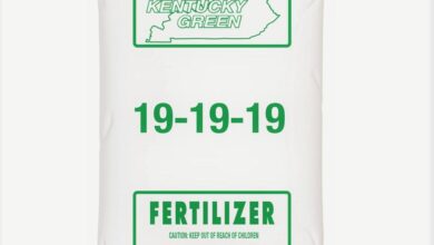 19-19-19 Fertilizer: The Secret to a Thriving Garden