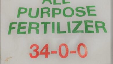 34 0 0 Fertilizer What It Is and How to Use It