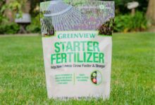 A Beginners Guide to Lawn Starter Fertilizer Everything You Need to Know