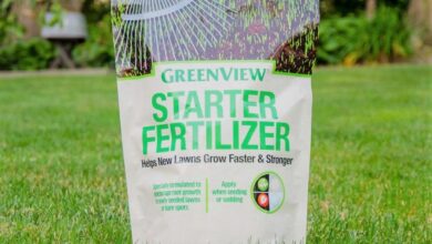 A Beginners Guide to Lawn Starter Fertilizer Everything You Need to Know