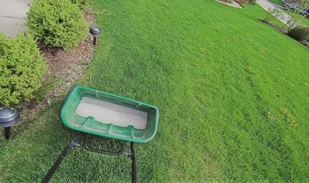 How to Apply Lawn Starter Fertilizer