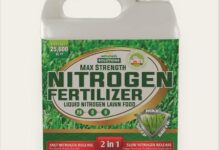 Maximizing Plant Growth with High Nitrogen Fertilizer