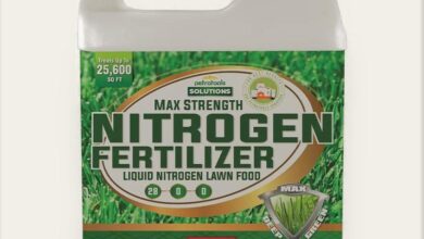 Maximizing Plant Growth with High Nitrogen Fertilizer