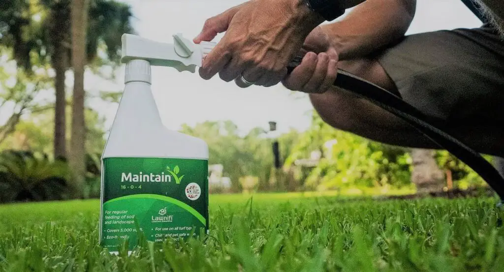 Types of Fertilizer for New Sod | Fertilizer on new sod 